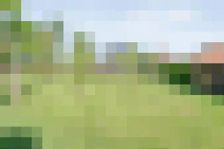 Koekangerweg 8 Echten thumbnail 90