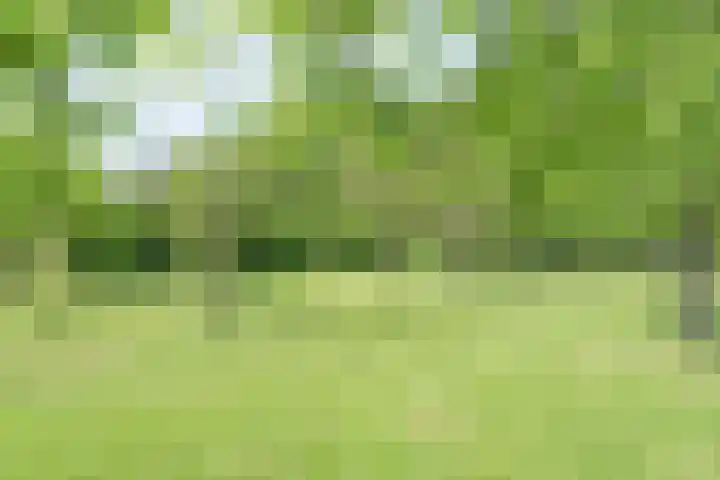 Koekangerweg 8 Echten thumbnail 91