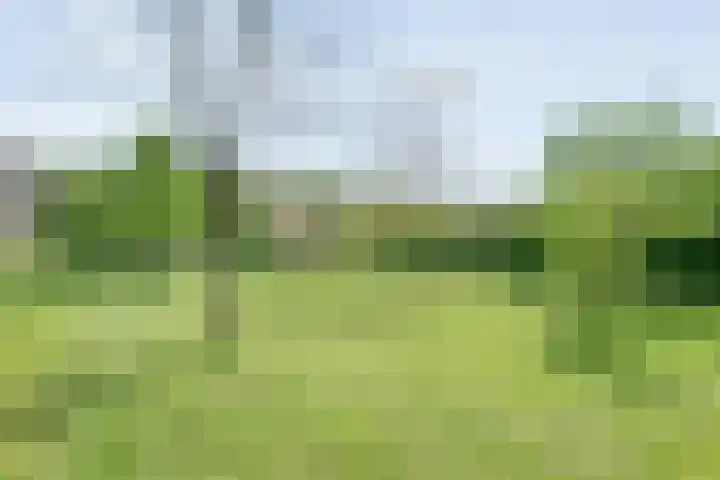 Koekangerweg 8 Echten thumbnail 92