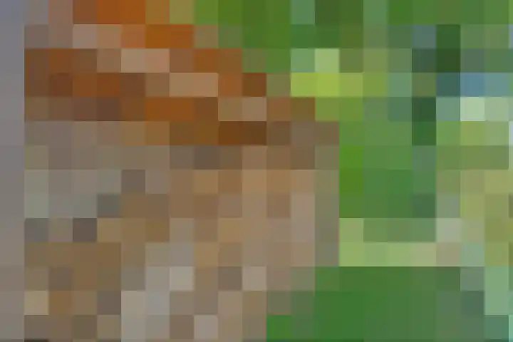 Koekangerweg 8 Echten thumbnail 93