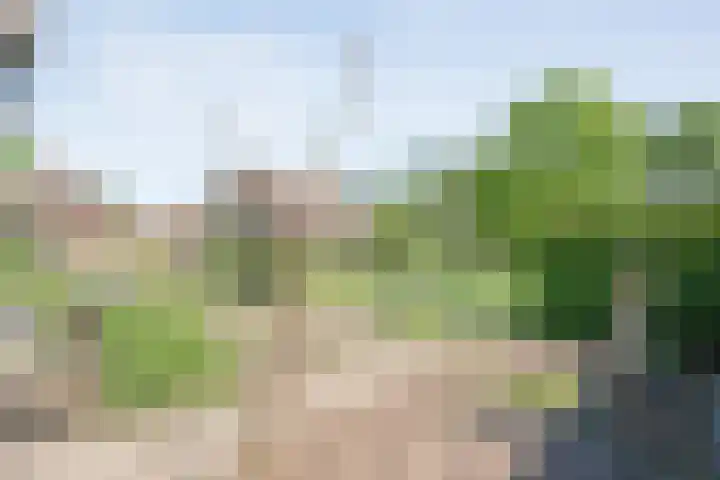 Koekangerweg 8 Echten thumbnail 94