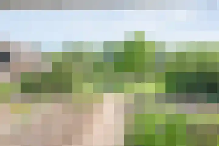 Koekangerweg 8 Echten thumbnail 95