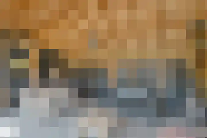 Koekangerweg 8 Echten thumbnail 96