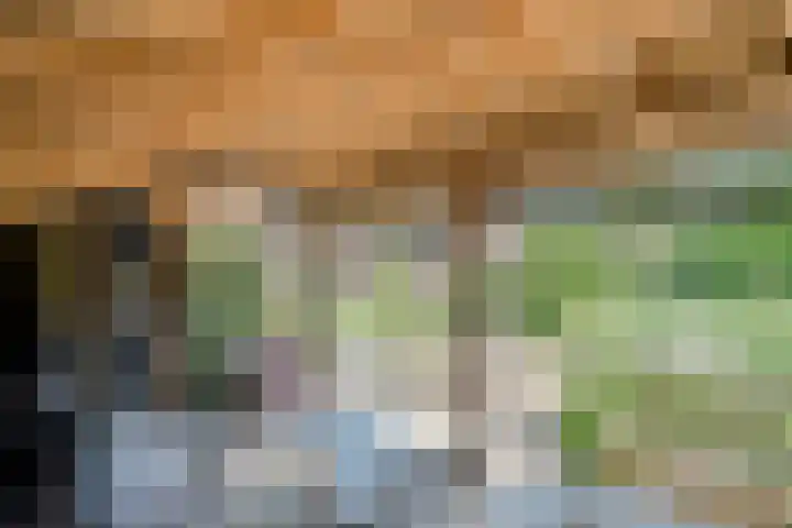 Koekangerweg 8 Echten thumbnail 97