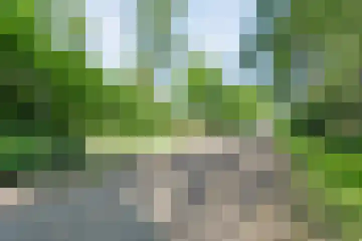 Koekangerweg 8 Echten thumbnail 98