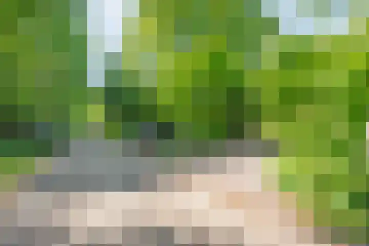 Koekangerweg 8 Echten thumbnail 99