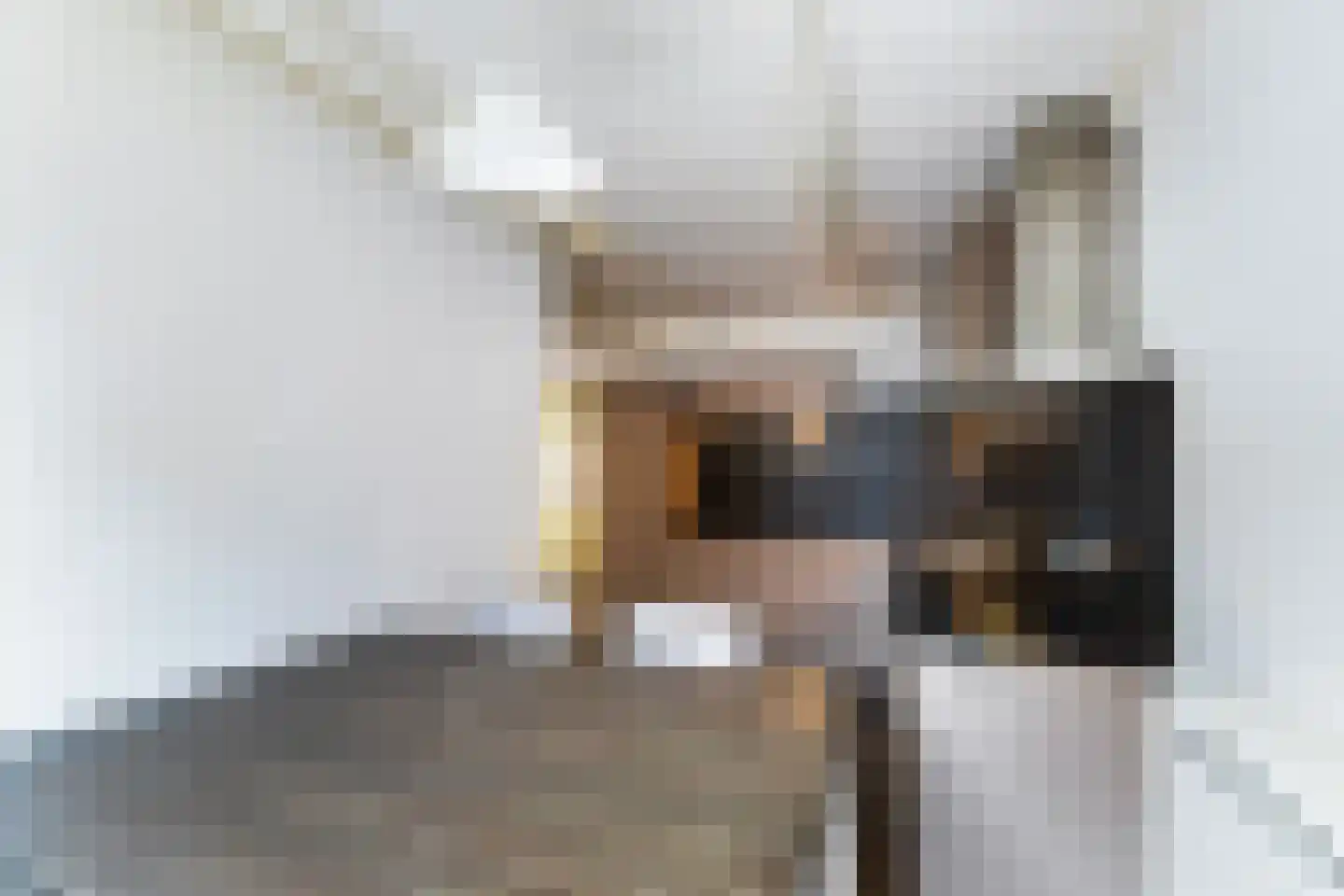 Koekebakkerssteeg 6 Dokkum thumbnail 21