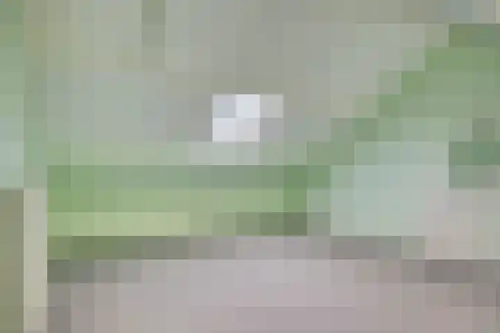 Koekelarestraat 13 Breda thumbnail 17