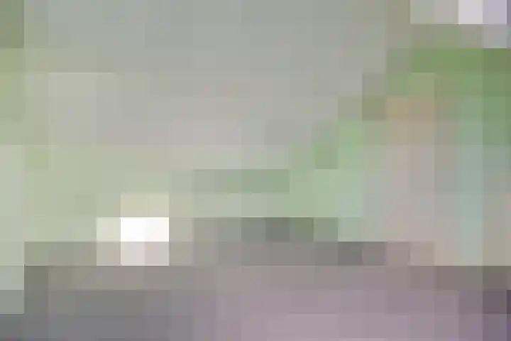 Koekelarestraat 13 Breda thumbnail 18