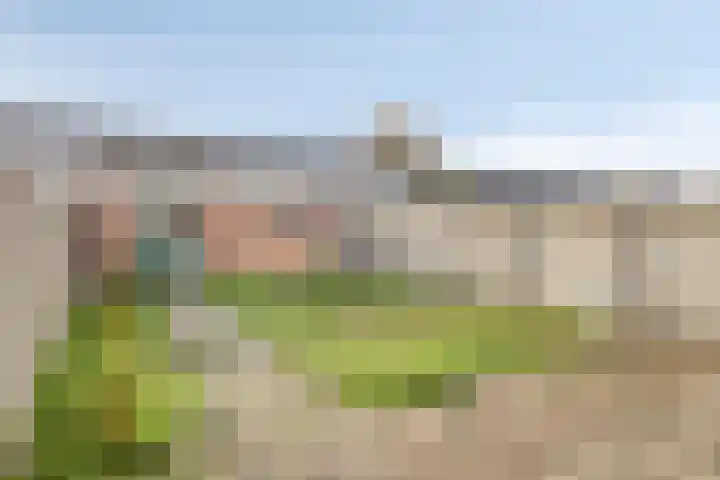 Koekelarestraat 13 Breda thumbnail 19
