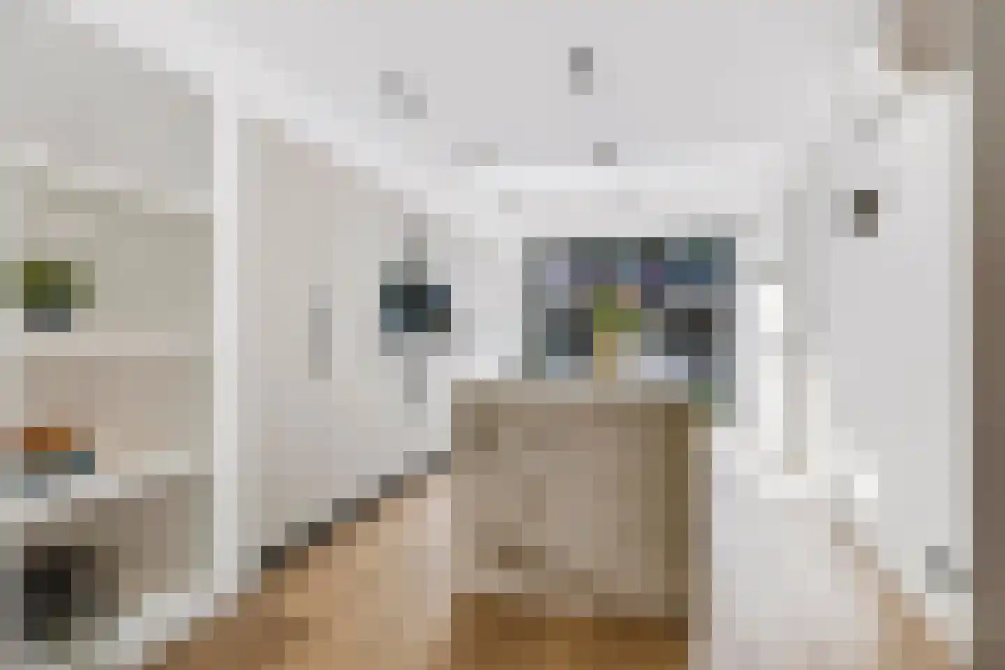 Koekelberg 12 Veldhoven thumbnail 12