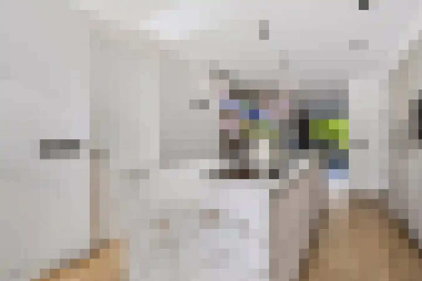 Koekelberg 12 Veldhoven thumbnail 16