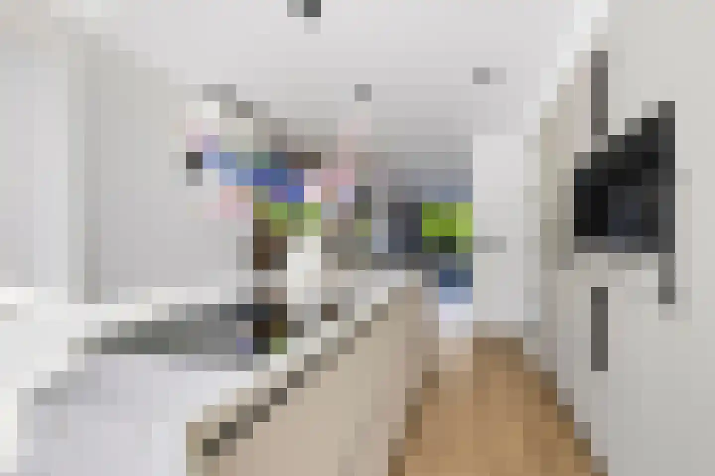 Koekelberg 12 Veldhoven thumbnail 18