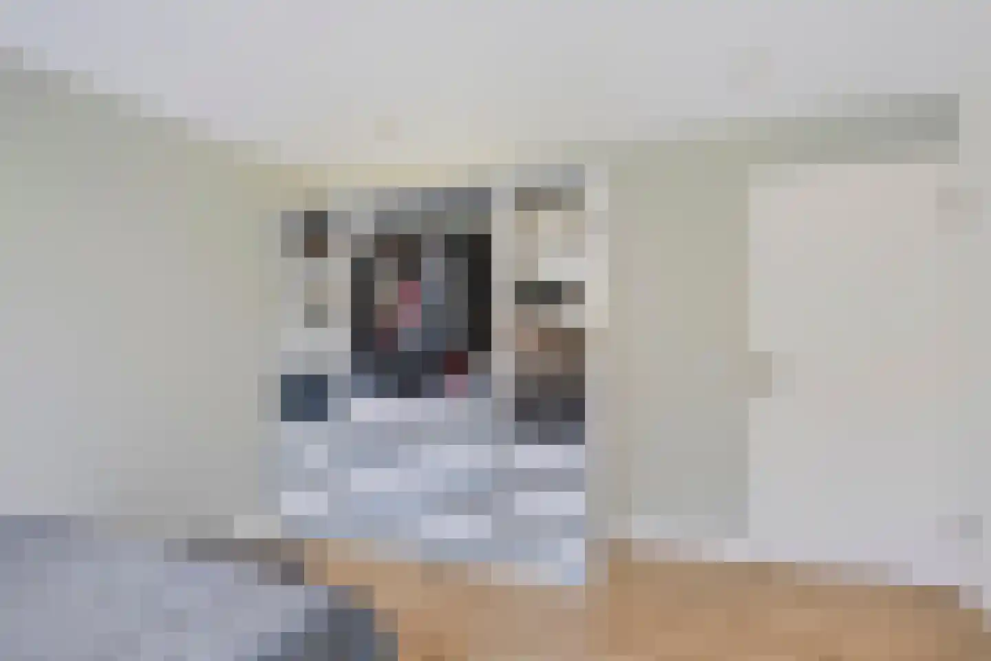 Koekelberg 12 Veldhoven thumbnail 28