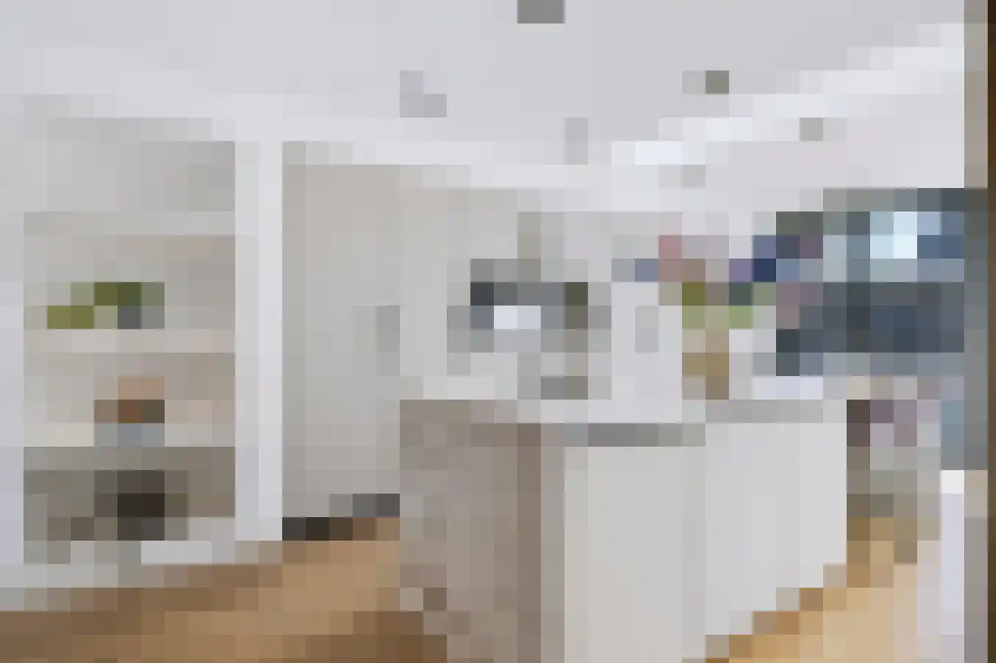 Koekelberg 12 Veldhoven thumbnail 4