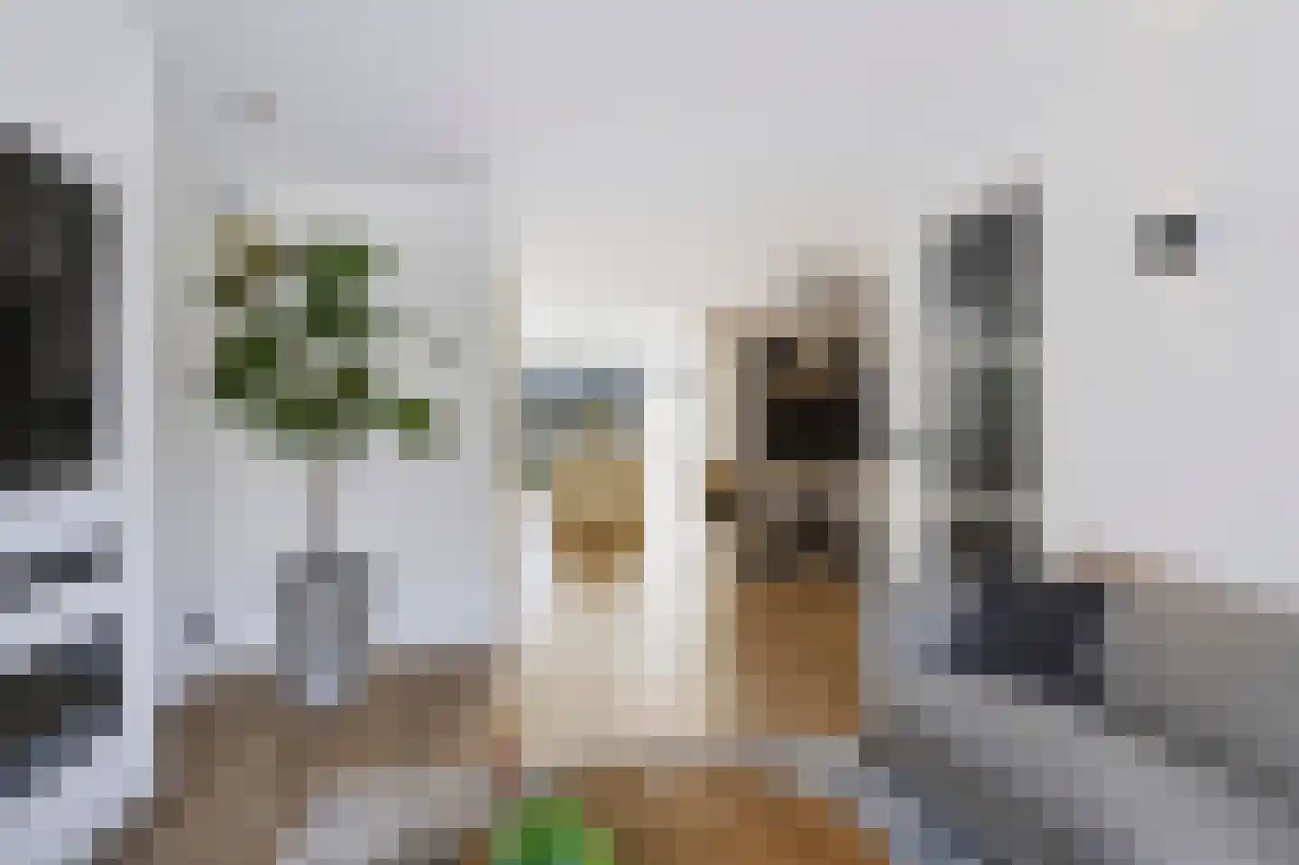 Koekelberg 12 Veldhoven thumbnail 5