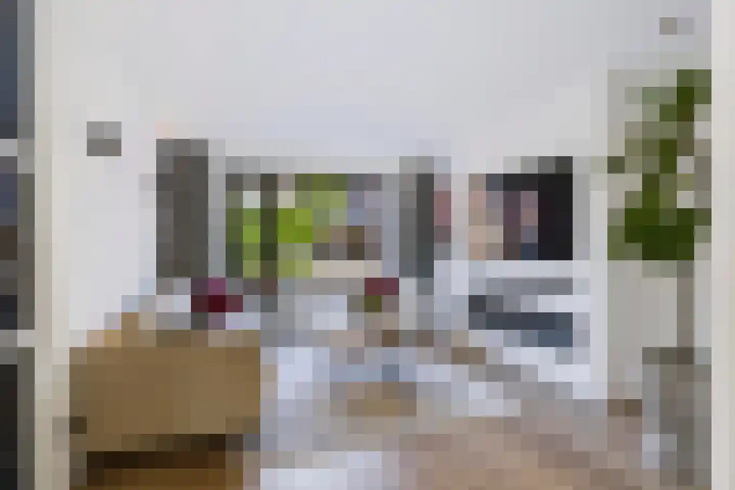 Koekelberg 12 Veldhoven thumbnail 7