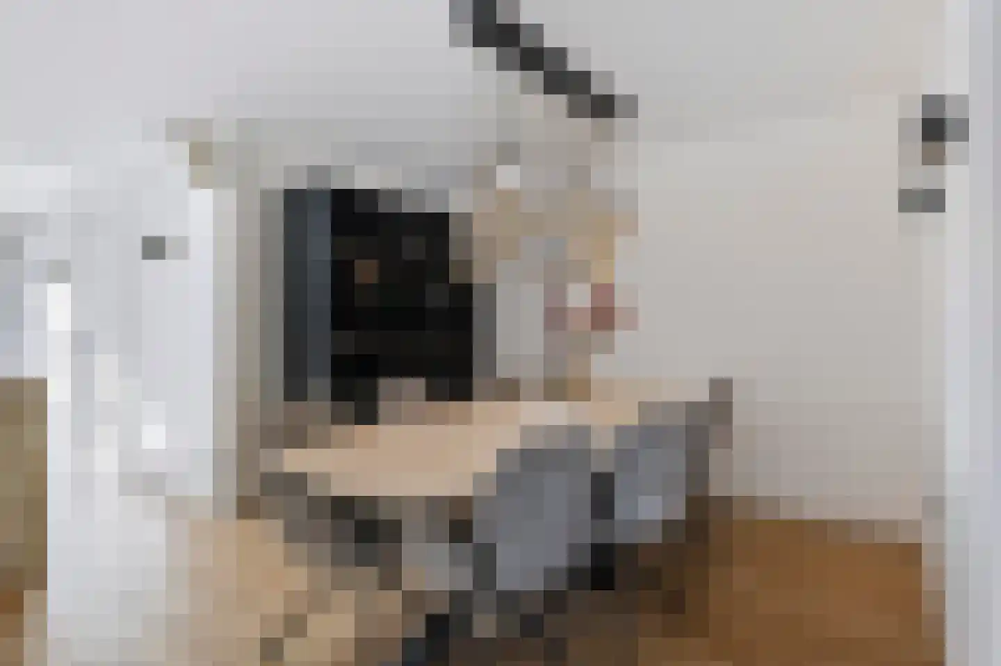 Koekelberg 12 Veldhoven thumbnail 9