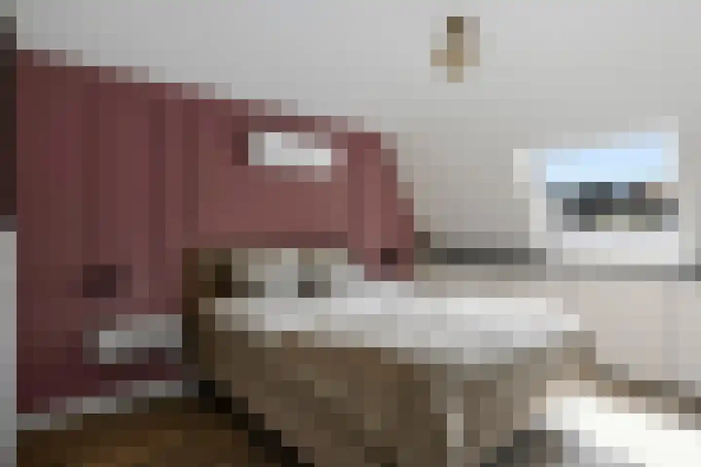 Koekelberg 13 Veldhoven thumbnail 25