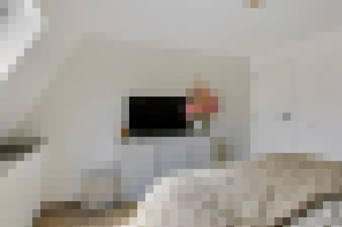 Koekelberg 13 Veldhoven thumbnail 26