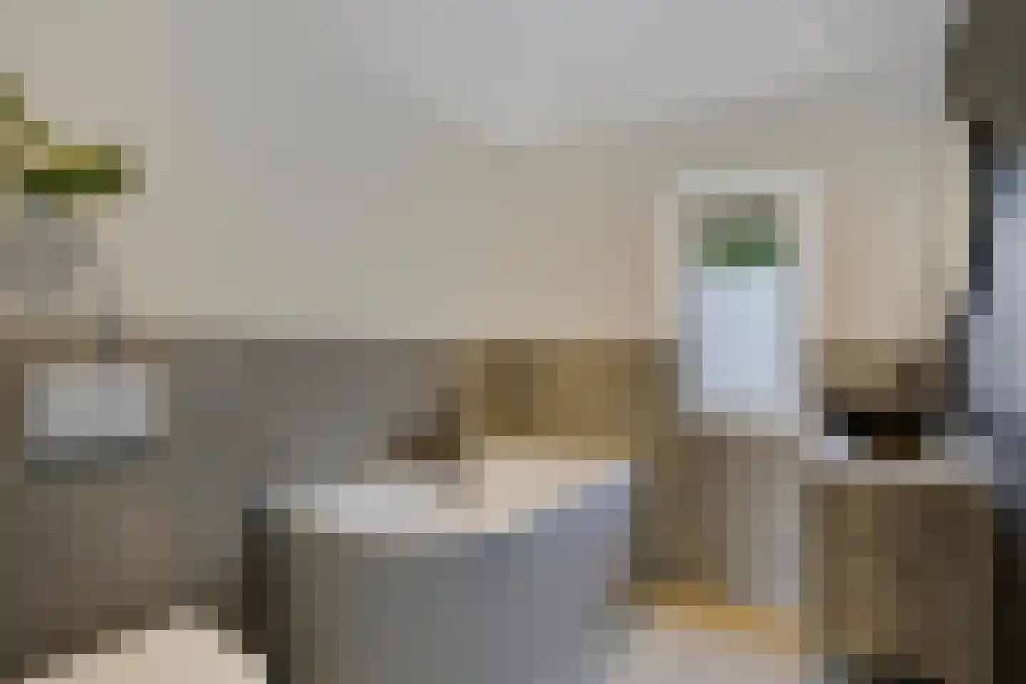 Koekelberg 13 Veldhoven thumbnail 33