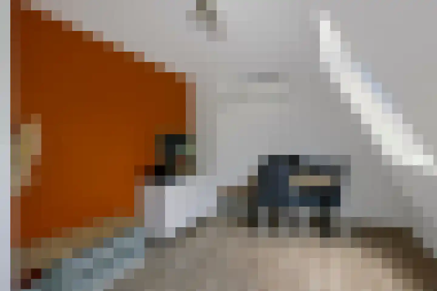 Koekelberg 13 Veldhoven thumbnail 37