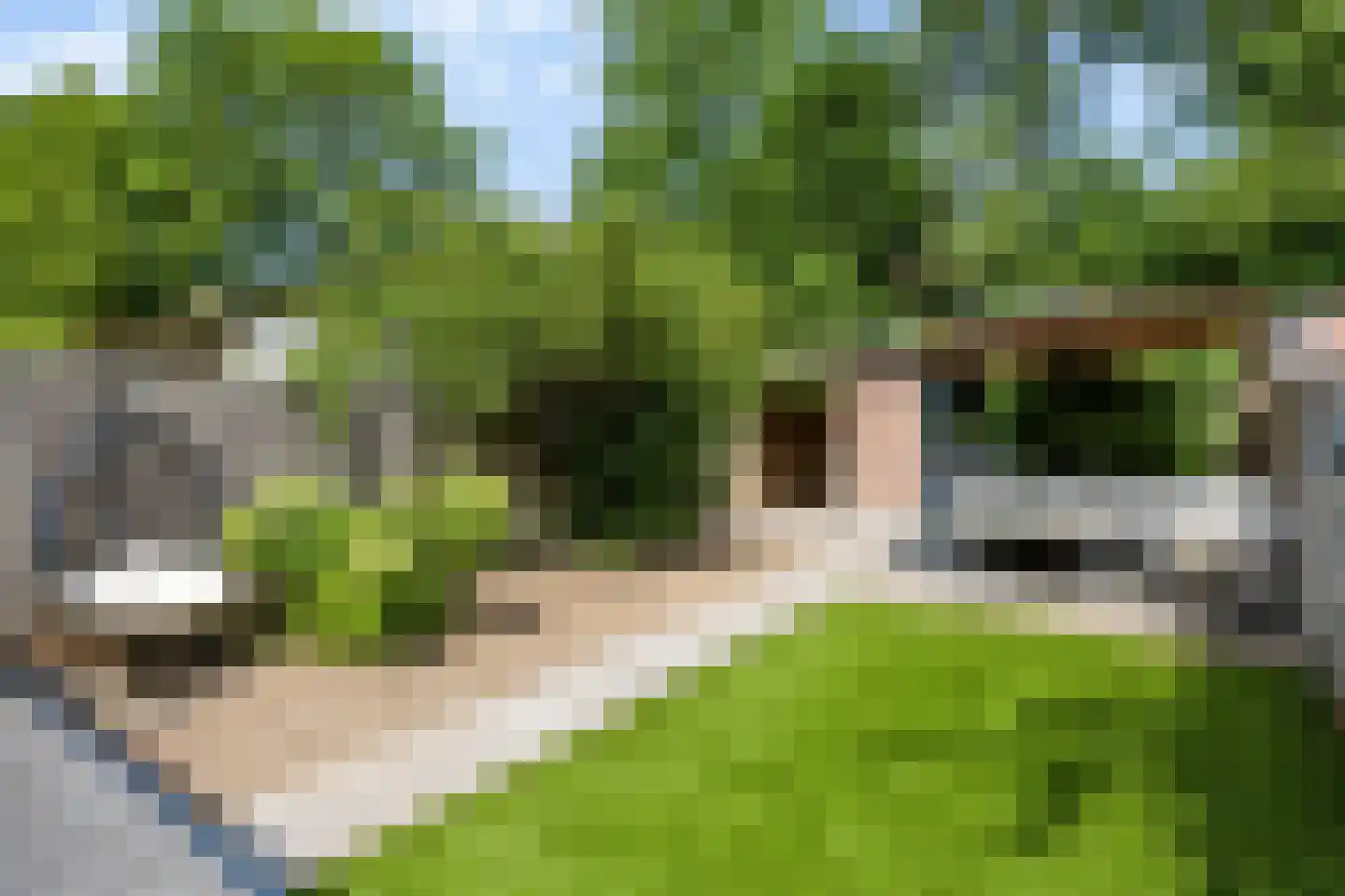 Koekelberg 13 Veldhoven thumbnail 41