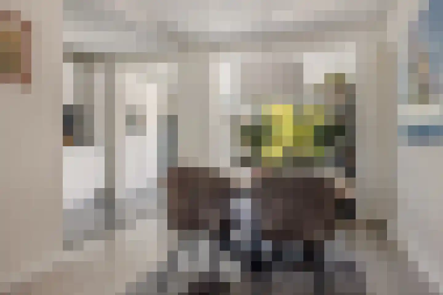 Koekelberg 20 Veldhoven thumbnail 16