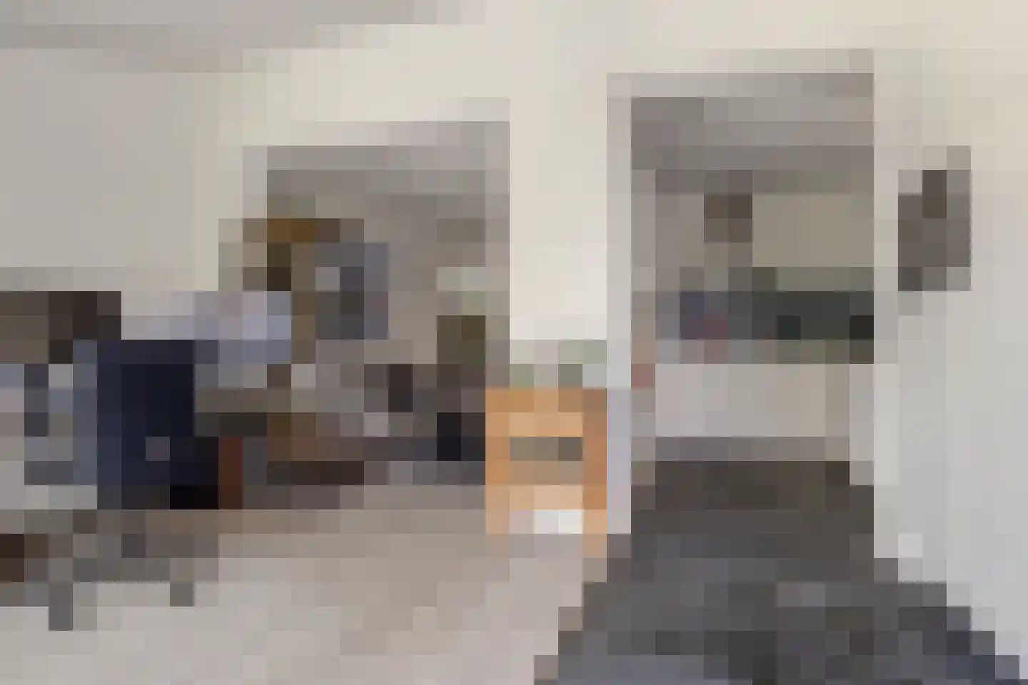 Koekelberg 20 Veldhoven thumbnail 25
