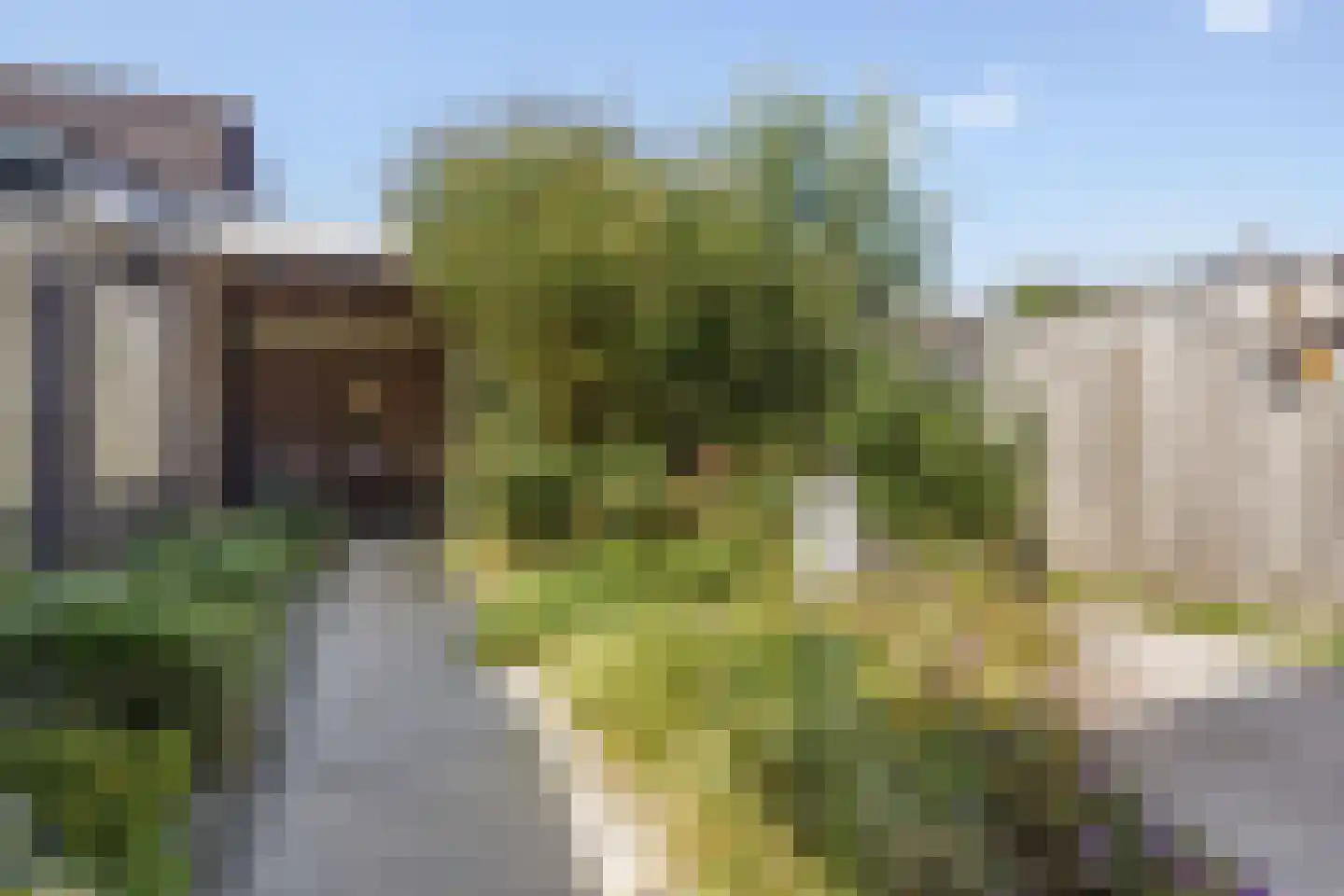 Koekelberg 20 Veldhoven thumbnail 28