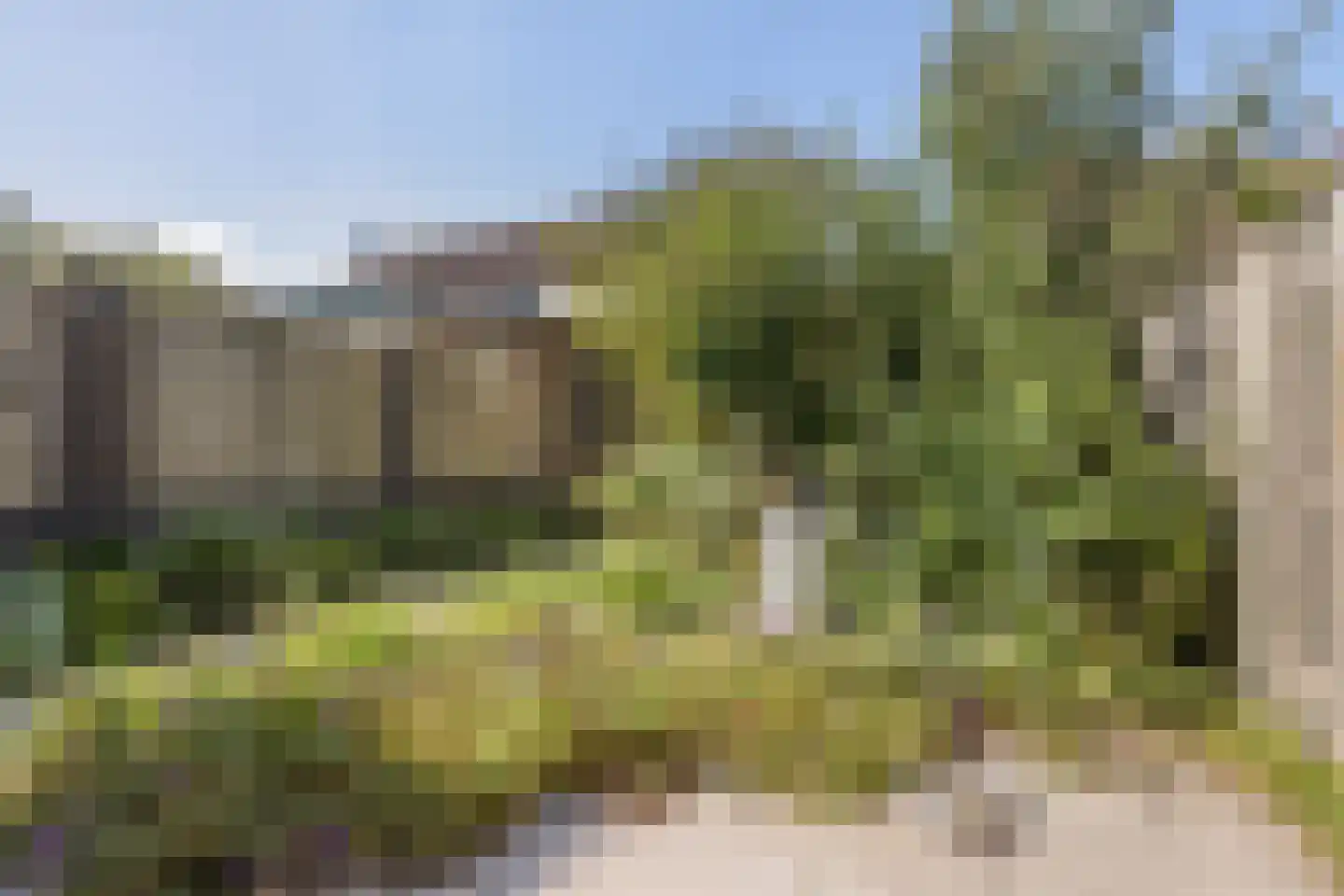 Koekelberg 20 Veldhoven thumbnail 29