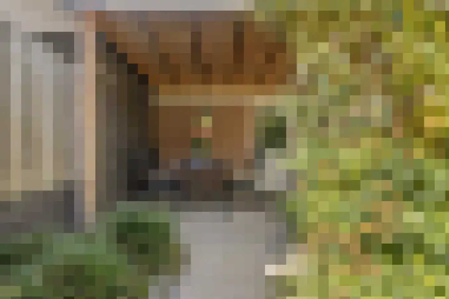 Koekelberg 20 Veldhoven thumbnail 30