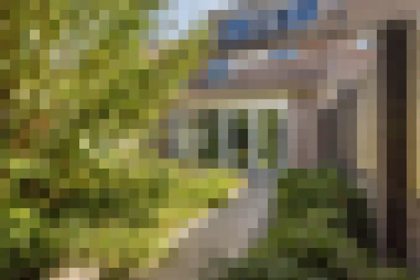 Koekelberg 20 Veldhoven thumbnail 31