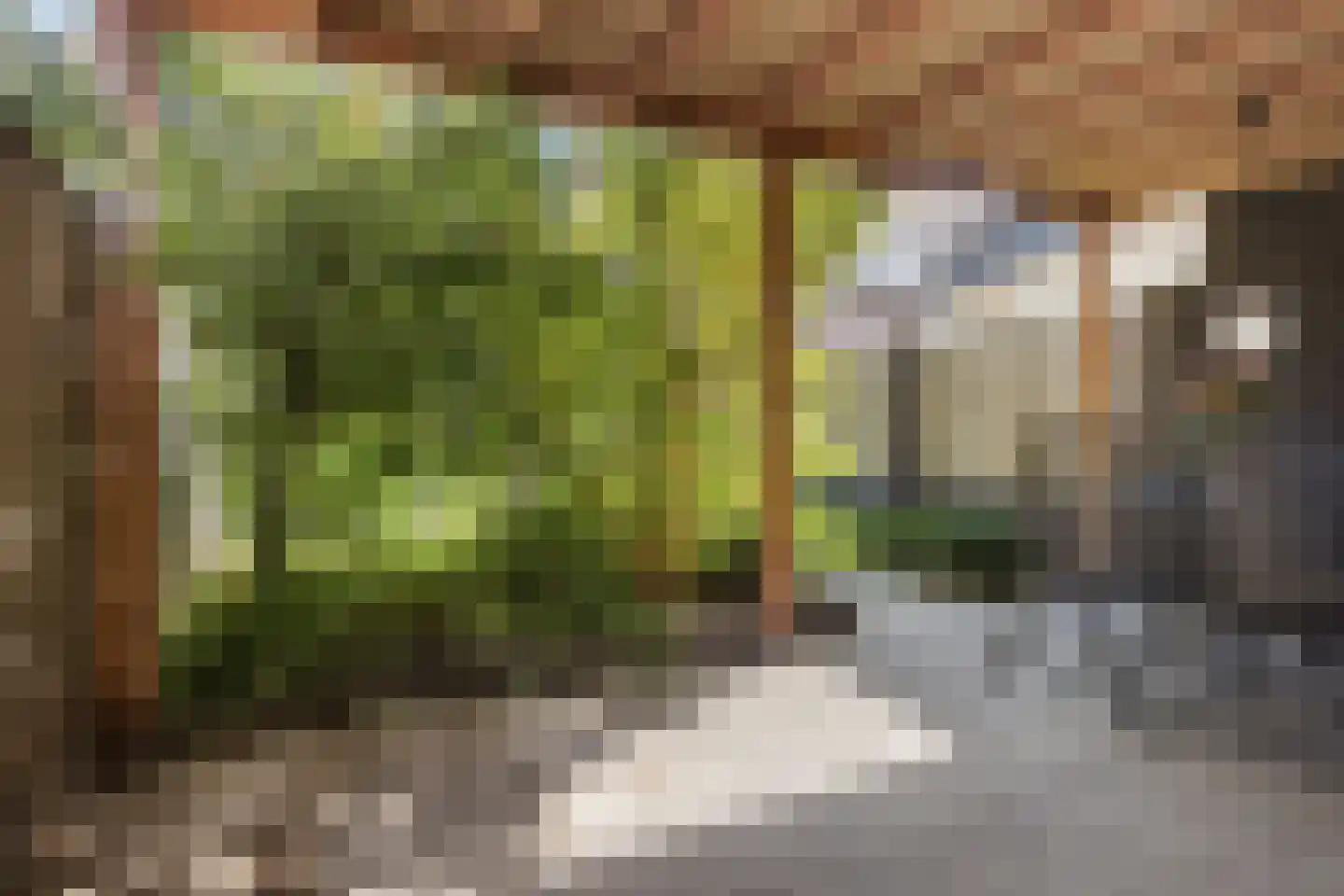 Koekelberg 20 Veldhoven thumbnail 32