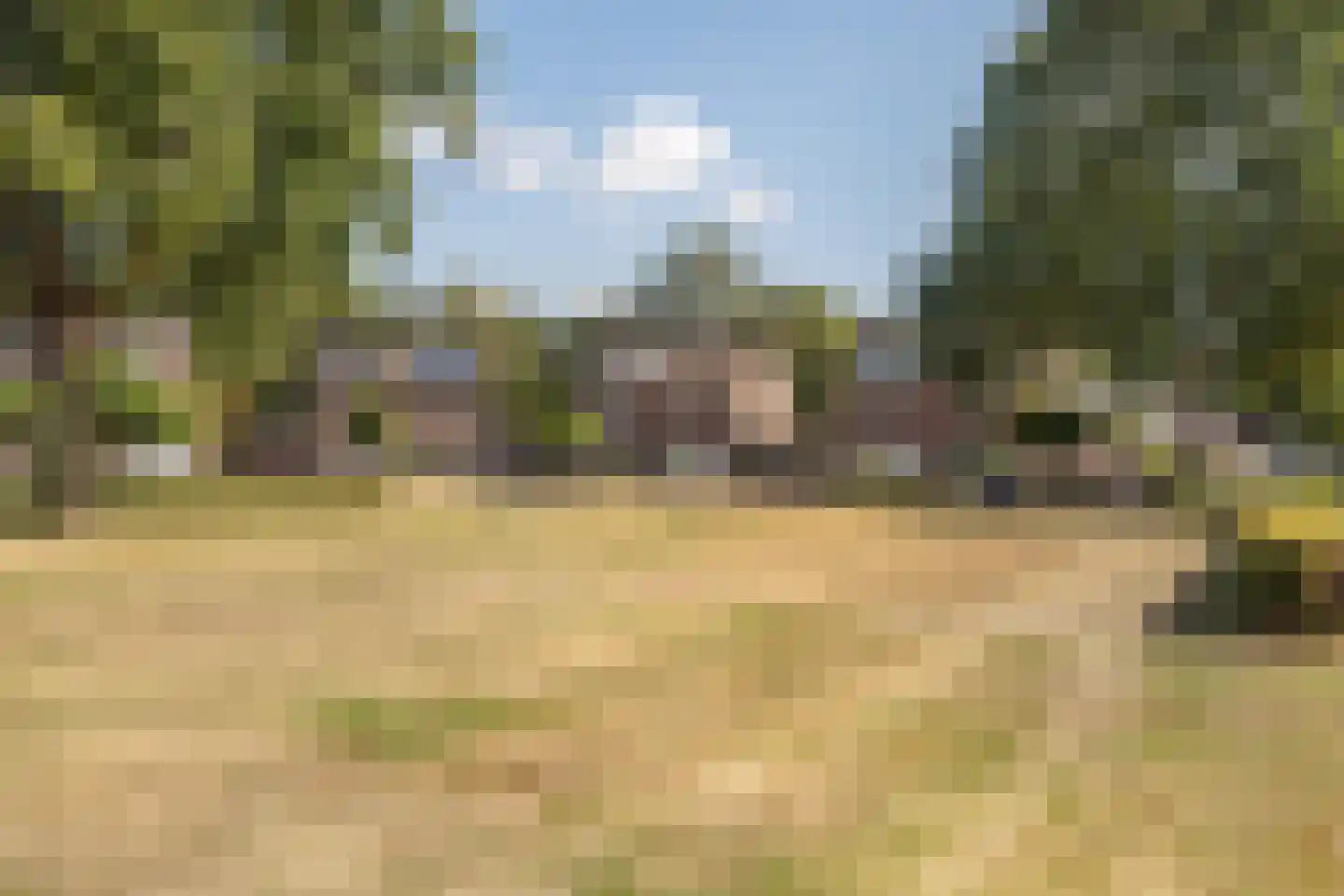 Koekelberg 20 Veldhoven thumbnail 58