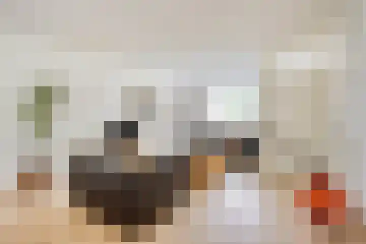 Koekelberg 21 Veldhoven thumbnail 10
