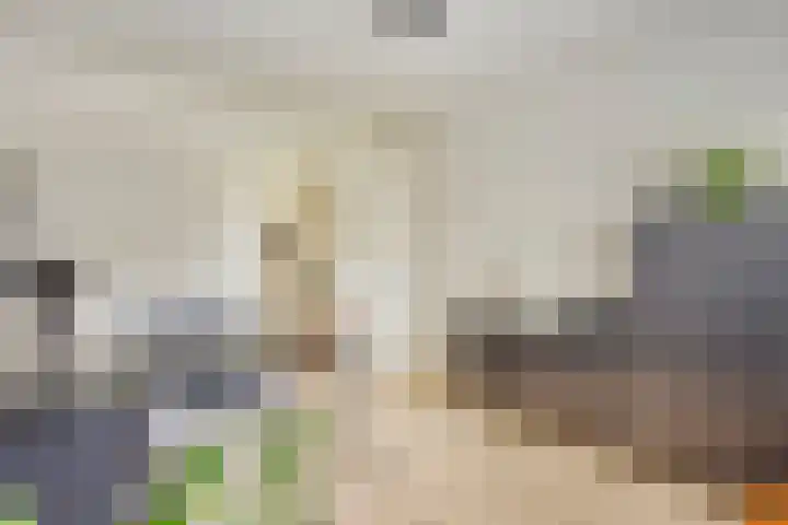 Koekelberg 21 Veldhoven thumbnail 26