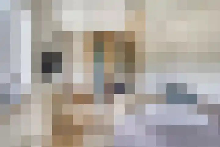 Koekelberg 21 Veldhoven thumbnail 30