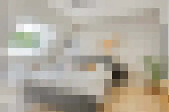 Koekelberg 21 Veldhoven thumbnail 31