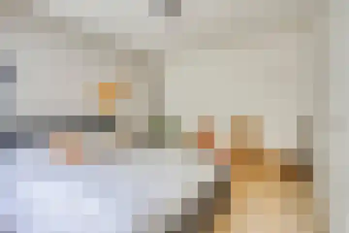 Koekelberg 21 Veldhoven thumbnail 32