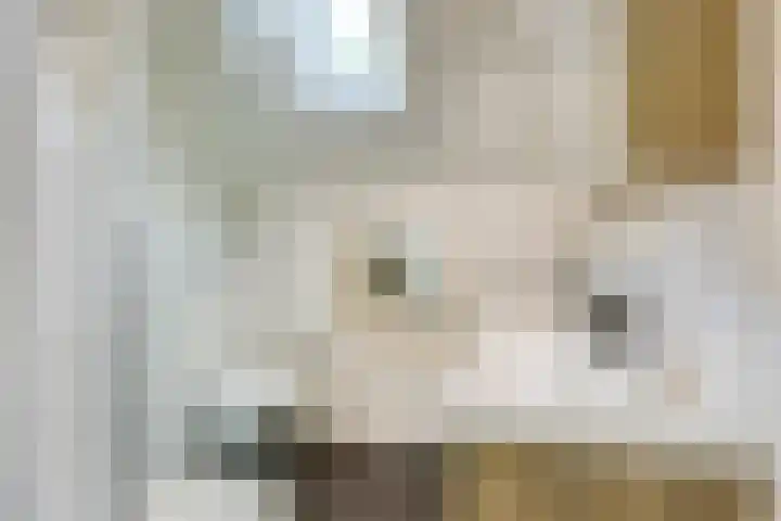 Koekelberg 21 Veldhoven thumbnail 33