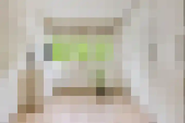 Koekelberg 21 Veldhoven thumbnail 36
