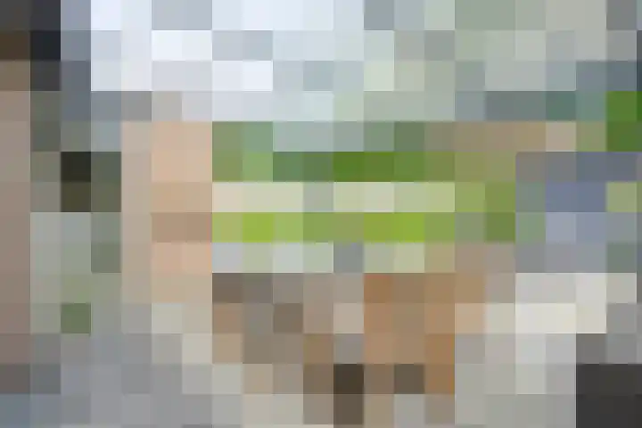 Koekelberg 21 Veldhoven thumbnail 38