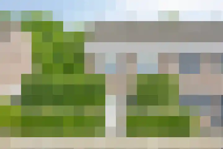 Koekelberg 21 Veldhoven thumbnail 4