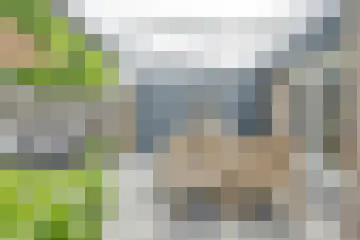 Koekelberg 21 Veldhoven thumbnail 40