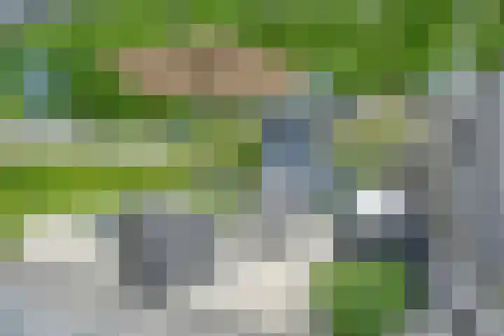 Koekelberg 21 Veldhoven thumbnail 41