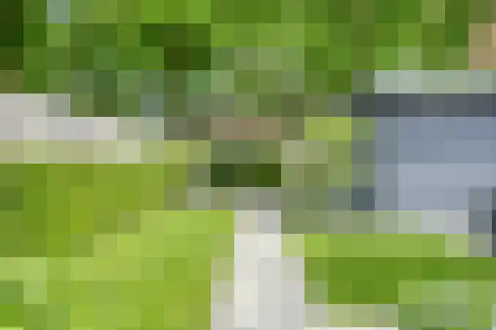 Koekelberg 21 Veldhoven thumbnail 43