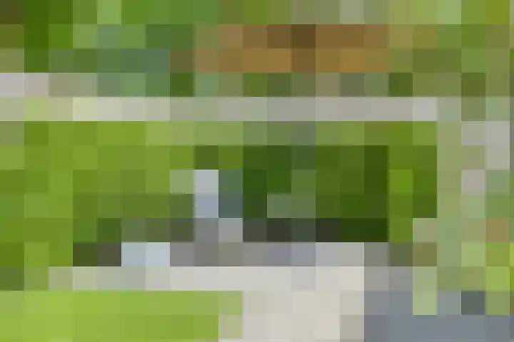 Koekelberg 21 Veldhoven thumbnail 44