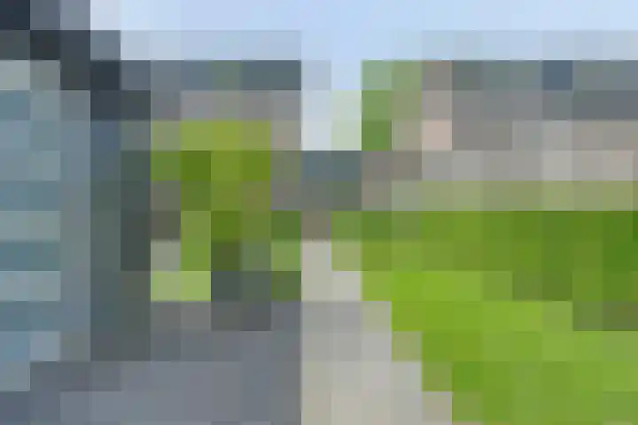 Koekelberg 21 Veldhoven thumbnail 45