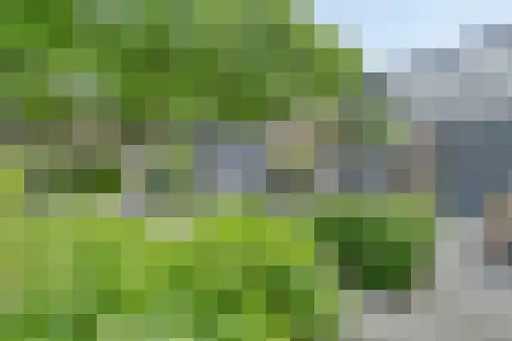 Koekelberg 21 Veldhoven thumbnail 47